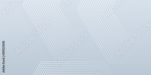 Abstract hexagon lines on gray background. line art modern
