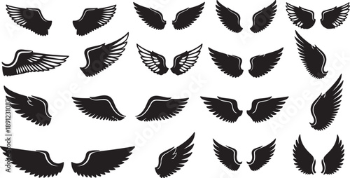 black wings badge set. Bird wings, angel wings elements. Aviation pilot patch badge. Heraldic vintage army insignia emblem falcon phoenix hawk.