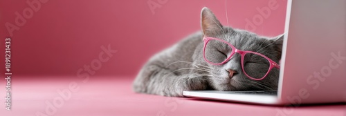Gray cat wearing pink eyeglasses sleeping soundly on an open laptop keyboard, symbolizing exhaustion, overworking, or a funny break from technology on a pink background