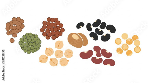 Assorted legumes and beans spread out on a white background for healthy eating and nutrition concepts
