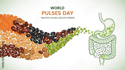 World pulses day illustration with colorful beans and human digestive system on white background