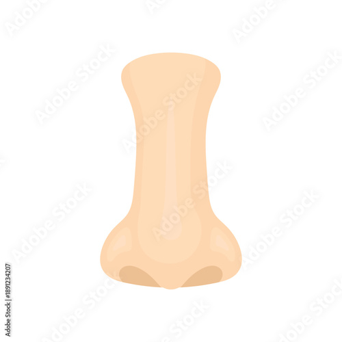Vector illustration of a human nose isolated on white background. Simple clean design suitable for education, facial features, breathing concept, beauty, hygiene, icons, infographics