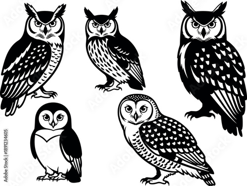 Owl illustration silhouettes collection featuring nocturnal birds in different poses, detailed black wildlife vector designs for nature, education and mascot concepts isolated