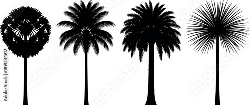 Palm tree silhouettes collection featuring tropical foliage, exotic plants and summer nature elements isolated on white background for landscape and travel design
