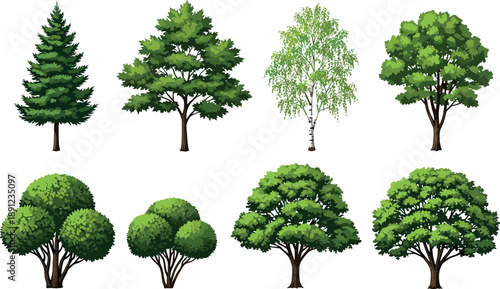 Realistic green tree illustrations collection featuring pine, birch and leafy deciduous varieties, detailed forest and garden nature elements isolated on white background