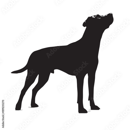 Black labrador retriever sitting silhouette vector illustration design on white background.