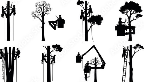 Tree service workers silhouettes set showing professional arborists pruning cutting and trimming trees using ropes ladders and lifts isolated on white background illustration