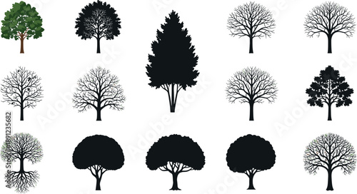 Tree silhouette and botanical illustration collection featuring deciduous and evergreen trees, seasonal forms, roots, branches, nature elements, landscape design, and environmental graphics set