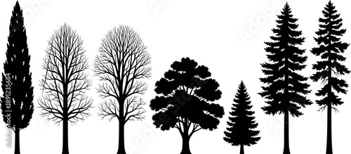 Tree silhouette collection featuring deciduous and evergreen species, forest landscape elements, botanical shapes, seasonal tree forms, natural environment design, and outdoor scenery illustration