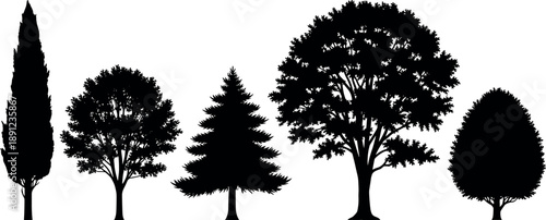 Tree silhouettes collection featuring various deciduous and conifer trees in black flat style isolated on white background for nature landscape and stock illustration use