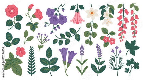 Floral garden elements vector set, simple silhouette lineart with bold clean outlines and sharp edges