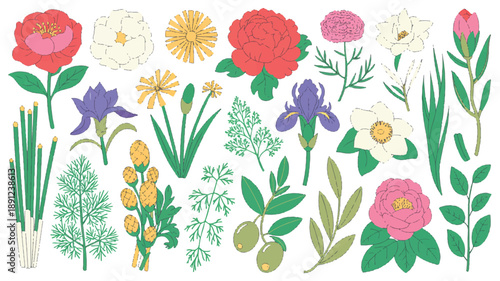 Luxurious floral and herbal collection, minimal flat design with bold outlines and crisp lineart.