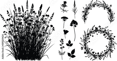 Black silhouettes of wildflowers and foliage on white background black, white, silhouette, wildflowers, flowers, plants, leaves, grass, floral, wreaths, botanical, isolated, decorative, stationery, sc