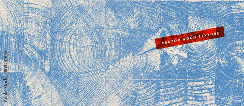 Set of pastel blue, beige background, old wood texture, planks.  Stamp of tree trunk in section. Eco concept background with wood annual rings texture. Wooden textures. Vector background.