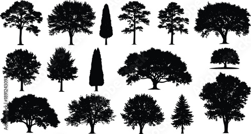 Black silhouettes of various trees on white background tree, silhouette, black, white, background, nature, landscape, plants, foliage, shapes, forms, deciduous, evergreen, conifer, leafy, treetops, tr