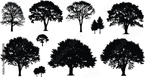 Black silhouettes of various trees on white background tree, silhouette, black, white, background, leafy, branches, trunks, shapes, sizes, nature, outdoors, plants, foliage, forest, landscape, silhoue