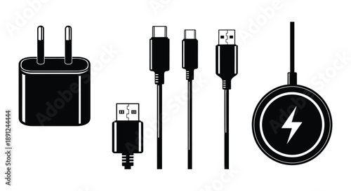 A collection of various charging connectors and a wall adapter in black and white