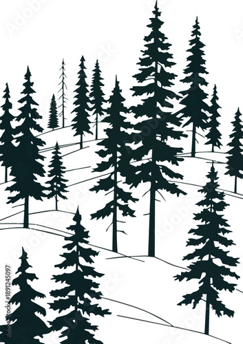 Create a realistic Rendered top view image of a group of pine trees in sunlight vector art with white background.