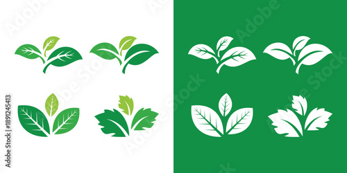 Green leaves logo design elements for organic and natural products.