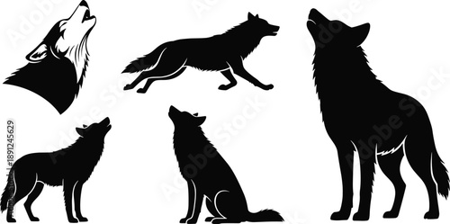 Black silhouettes of wolves in different poses and sizes wolf, wolves, black, silhouette, howling, running, sitting, standing, animal, wildlife, mammal, canine, pack, group, white background, silhouet