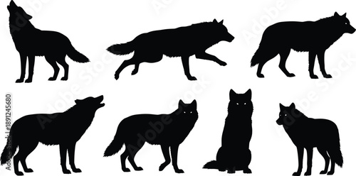 Black silhouettes of wolves in various poses wolf white background wolf, silhouette, black, white background, animal, mammal, canine, howling, running, standing, sitting, pack, wildlife, nature, silho