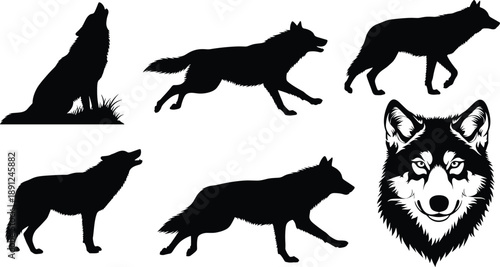 Black and white wolf silhouettes and head wolves wolf, wolves, silhouettes, black, white, howling, running, walking, canine, animals, wildlife, pack, fur, grass, wild, head, collection, detailed, back