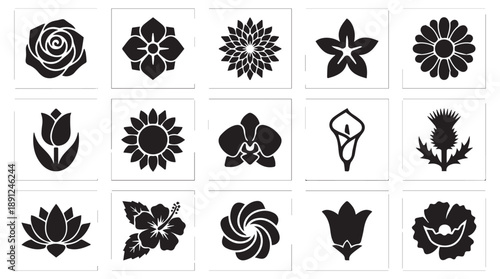 Set of 12 distinct flower icons arranged in a clean grid layout, perfect for web design and apps
