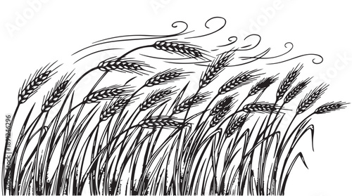 Stylized monochromatic wheat or grain stalks in black and white, symbolizing growth and harvest