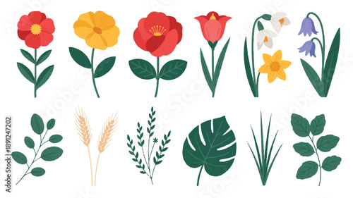 Minimalist botanical elements vector set with clean lineart and bold contours on a white background