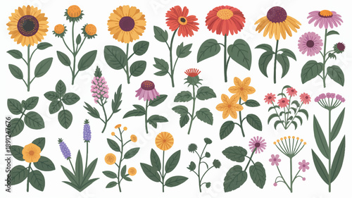 Modern Botanical Illustration Vector Set: Clean Flat Design with Bold Outlines