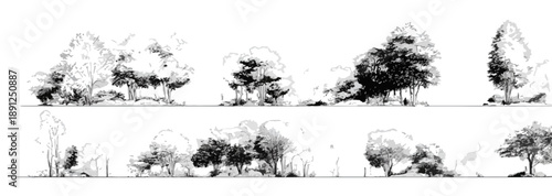 Coleção de árvores desenhadas à mão, vetorizadas para uso em projetos arquitetônicos, com fundo transparente para fácil integração.