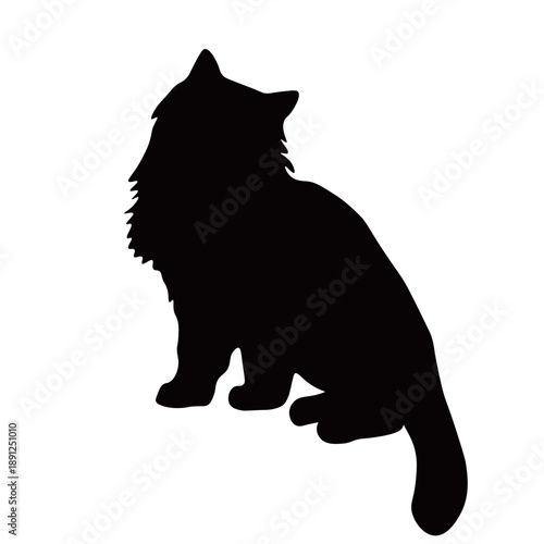 Funny cute kitten, breed pet animal. Drawing cats characters isolated. Fashion cartoon print for kids. Elegant, sleek feline figures showcasing modern art. Vector illustration for cards, invitations.