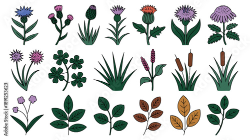 Nature botanical elements, clean line art silhouette vector set with bold thick outlines and sharp flat colors on white background.