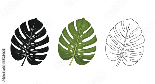 Set of three monstera deliciosa leaf icons in black silhouette, color, and outline styles