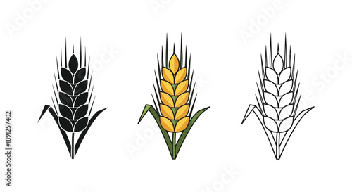 Set of three wheat ear illustrations in black silhouette, color, and outline styles