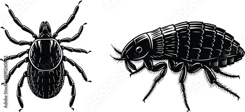 Beautiful Cinematic Landscape Photography of a Peaceful Sunset Over Rolling Mountains with Soft Golden Hour Light and Copy Space for Commercial Travel Design