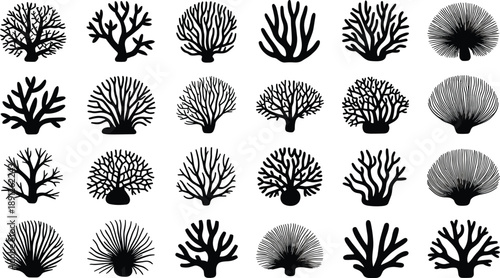 Black coral silhouettes collection isolated on white background, diverse underwater reef plants and sea fans in detailed shapes, marine life elements for 