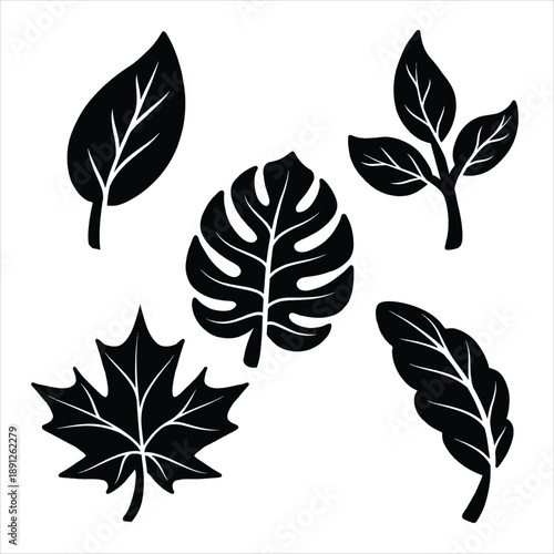 A collection of black leaf silhouette icons. Leaf icons on a white isolated background. Green leaves collection. High-quality design elements for natural, eco-friendly, vegan themes.