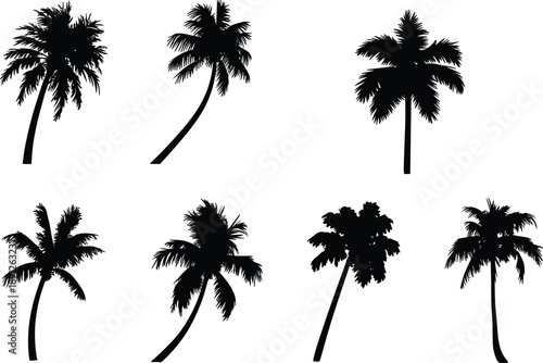 Black palm tree silhouette icon collection featuring tropical coconut trees in different shapes and angles, minimal flat nature symbols isolated on white background