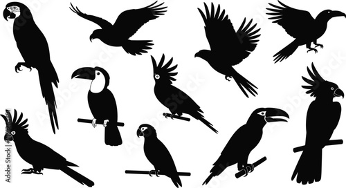Black parrot, toucan, and tropical bird silhouettes collection isolated on white background, flying and perched exotic birds set for wildlife design, logo, tattoo, and nature concepts