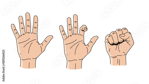 Sequence of human hand gestures showing an open palm, fingers being folded, and a clenched fist vector illustration set.