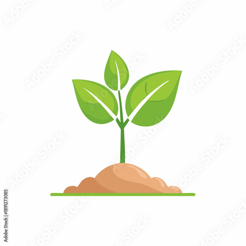 Green plant sprouting from soil represents growth cultivation and earth care in springtime