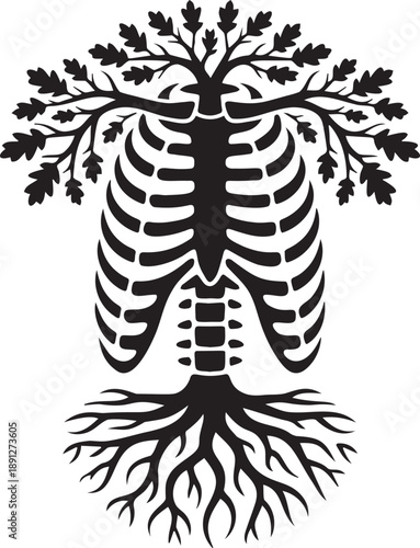 Human ribcage and spine anatomy merging with oak tree roots and leaf