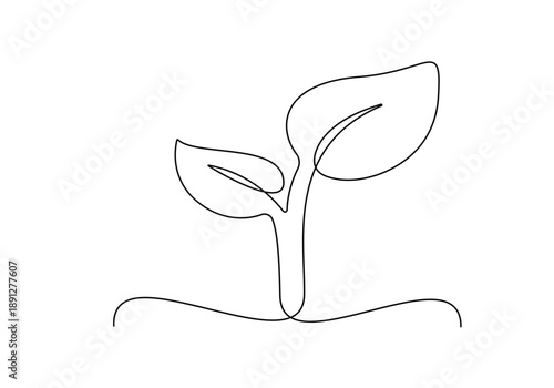 vector illustration of a plant single one line art