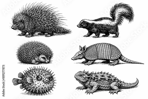 Illustrated collection of spiky and armored animals in detailed sketches