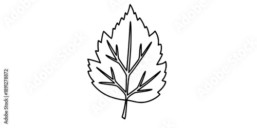 lack leaf in one line art style. Leaf drawing with editable black stroke on white background. 