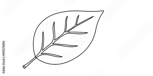 lack leaf in one line art style. Leaf drawing with editable black stroke on white background. 
