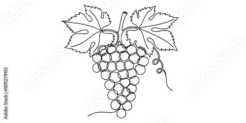 A bunch of grapes with leaves. Drawing in one line art style with editable black stroke on a white background.