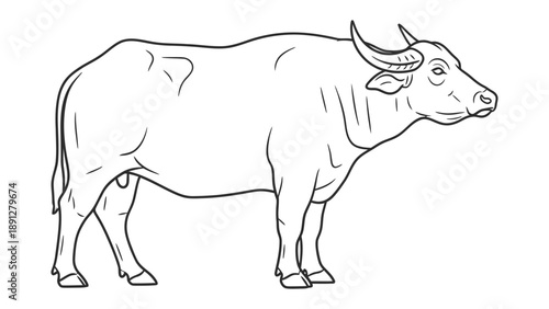 Water Buffalo Line Art: A sleek, minimalistic line drawing of a majestic water buffalo, capturing the animal's powerful form and serene demeanor.
