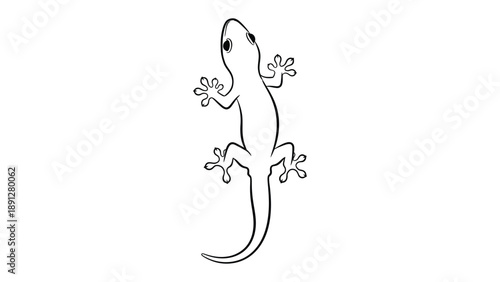 Lizard Illustration: A minimalist line drawing captures the sleek form of a lizard, showcasing its unique features in a simple and elegant manner.